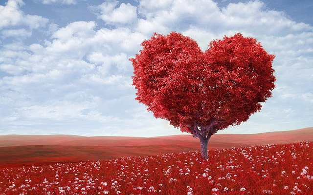 strom ve tvaru srdce jako symbol lásky.jpg